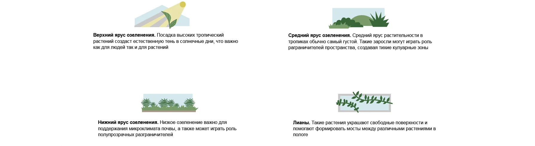 4 растения!